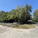 Mangalia, str. Ferdinand nr. 32, Jupiter.